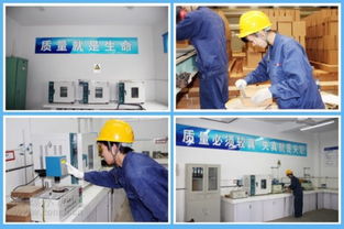 海螺耐火材料公司 服務(wù)水泥主業(yè)，打造行業(yè)精品耐火材料